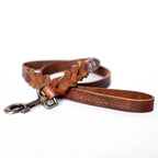 Cooper & Quint Twisted Braided Dog Leash – Brown