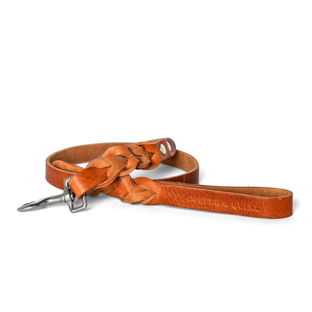 Cooper & Quint Twisted Braided Dog Leash - Camel