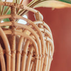 Rahina Rotan Mand – Plantenmand & Opbergmand
