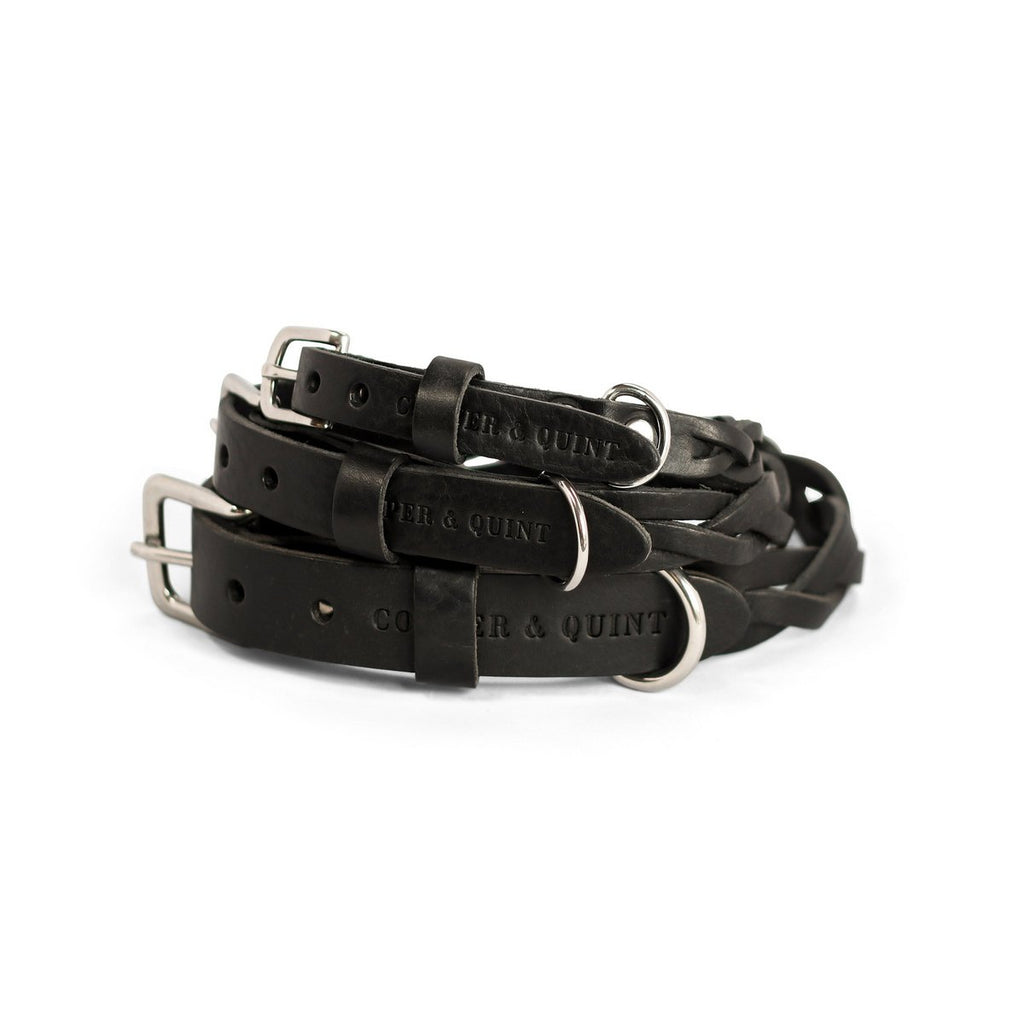 Cooper & Quint geflochtenes Hundehalsband – Schwarz