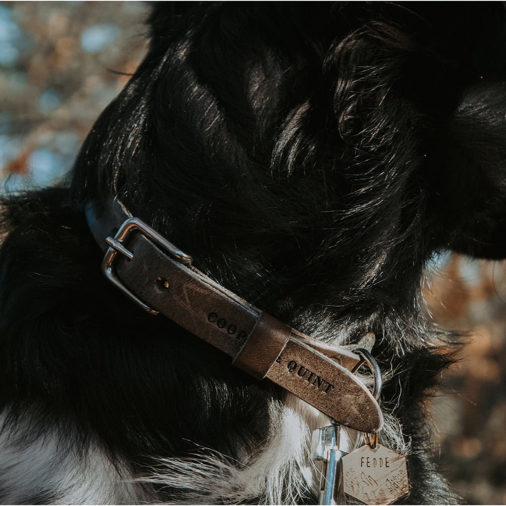 Cooper & Quint No Fuss Lederhalsband für Hunde – Stone