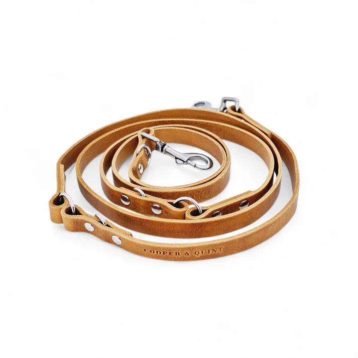 Cooper & Quint Switch Adjustable Dog Leash - Brown