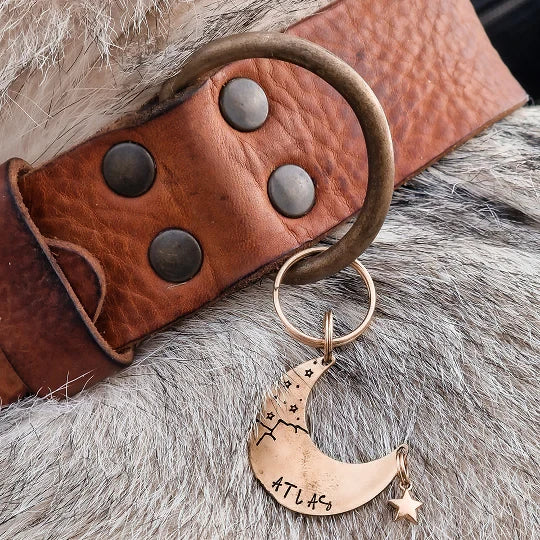 Cooper & Quint kühnes Hundehalsband aus Leder – Camel