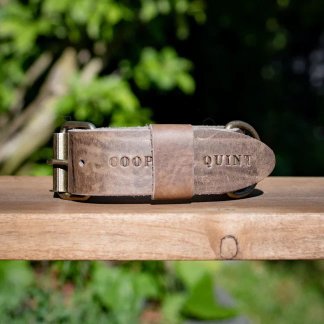 Cooper & Quint Fettlederhalsband für Hunde – Stone