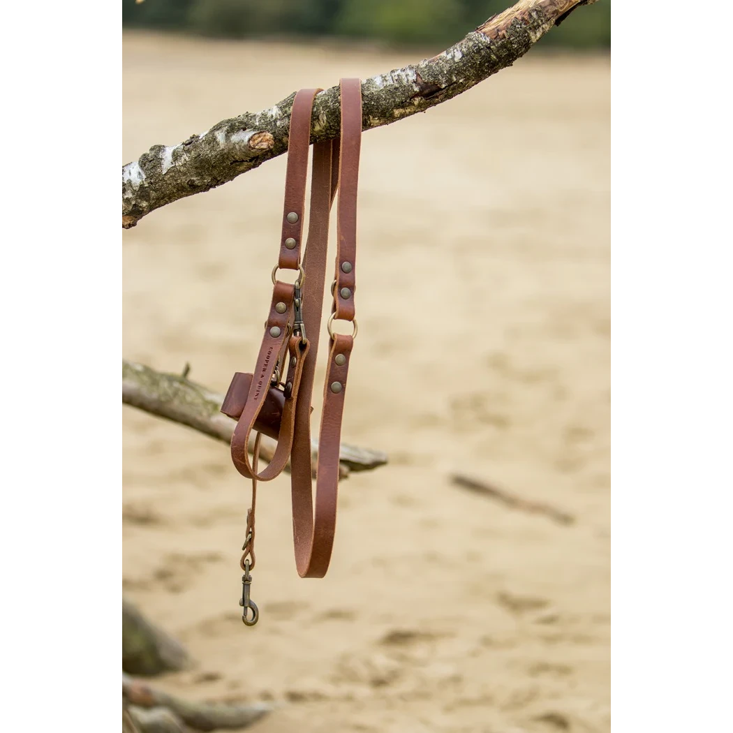 Cooper & Quint Switch Adjustable Dog Leash - Brown