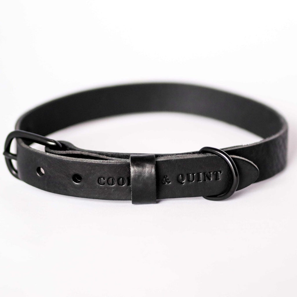 Cooper & Quint No Fuss Leather Dog Collar – Black