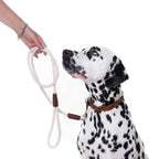Cooper & Quint Just Cotton Dog Leash – Ecru