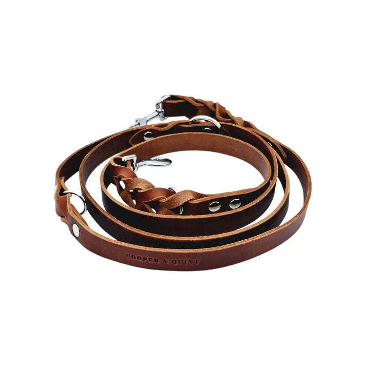 Cooper & Quint Twisted Switch Verstellbare Hundeleine – Braun