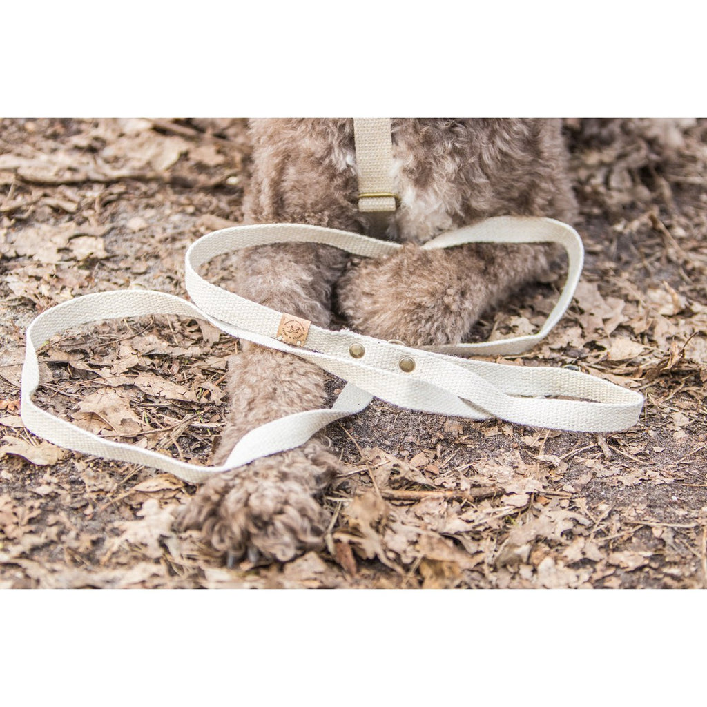 Cooper & Quint Simply Hemp Hondenriem Schelpenwit