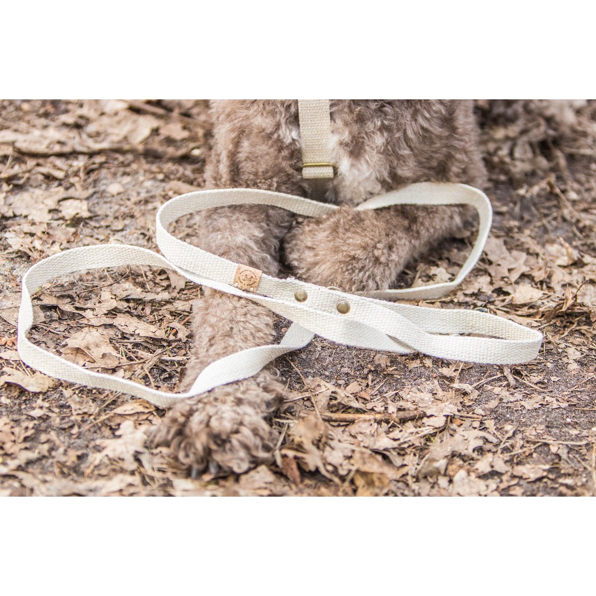 Cooper & Quint Simply Hemp Hundeleine Muschelschalenweiß