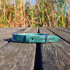 Cooper & Quint No Fuss Lern-Halsband für Hunde – Grün