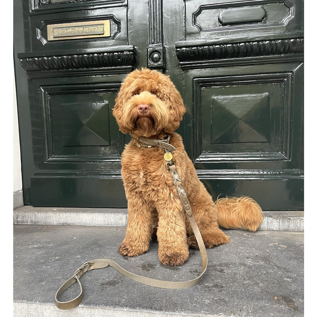 Cooper & Quint Twisted Braided Dog Leash Stone