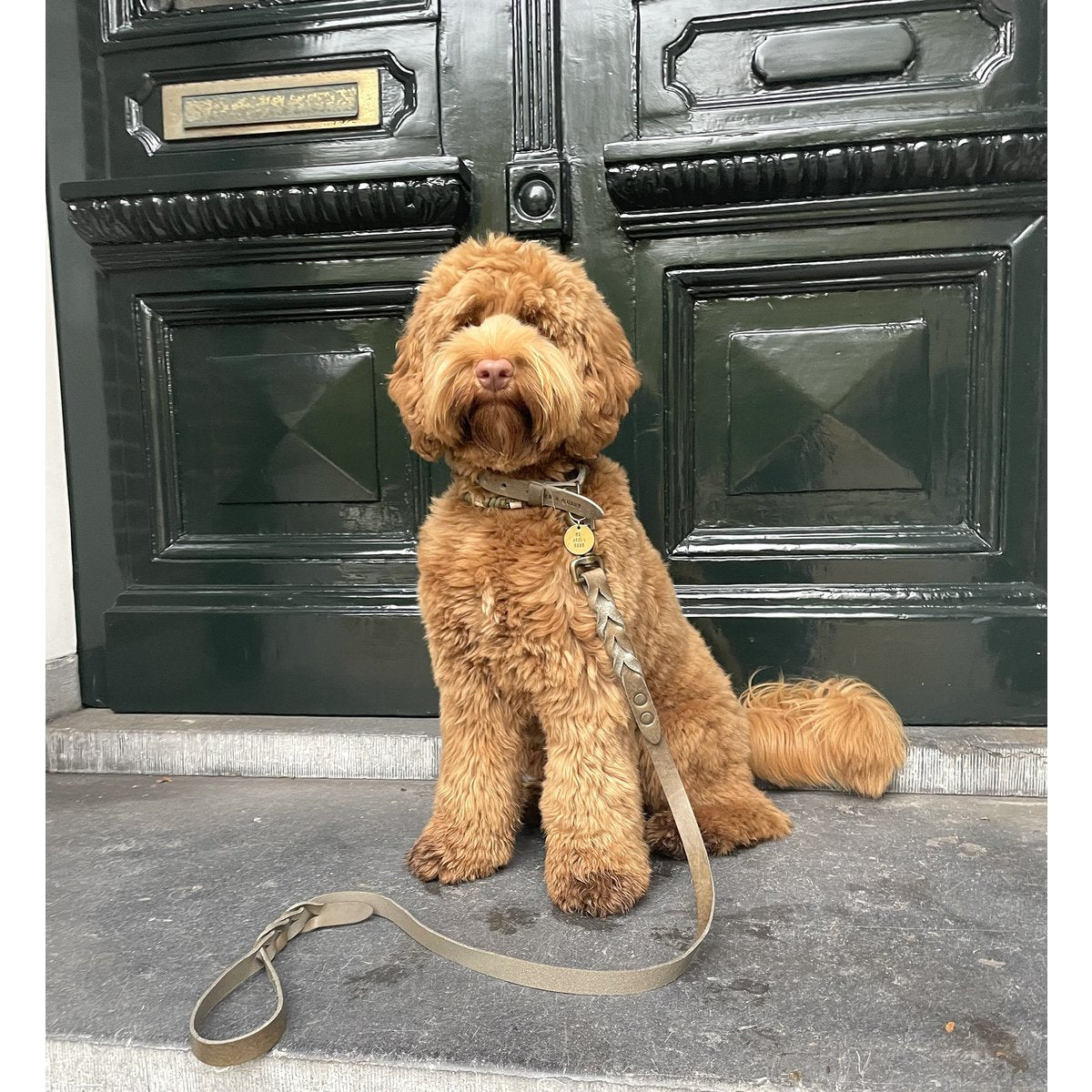 Cooper & Quint Twisted Braided Dog Leash Stone