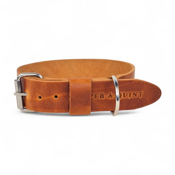 Cooper & Quint kühnes Hundehalsband aus Leder – Camel