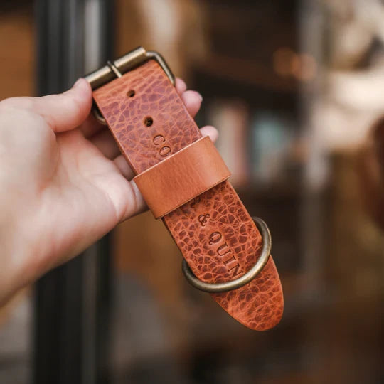 Cooper & Quint kühnes Hundehalsband aus Leder – Camel