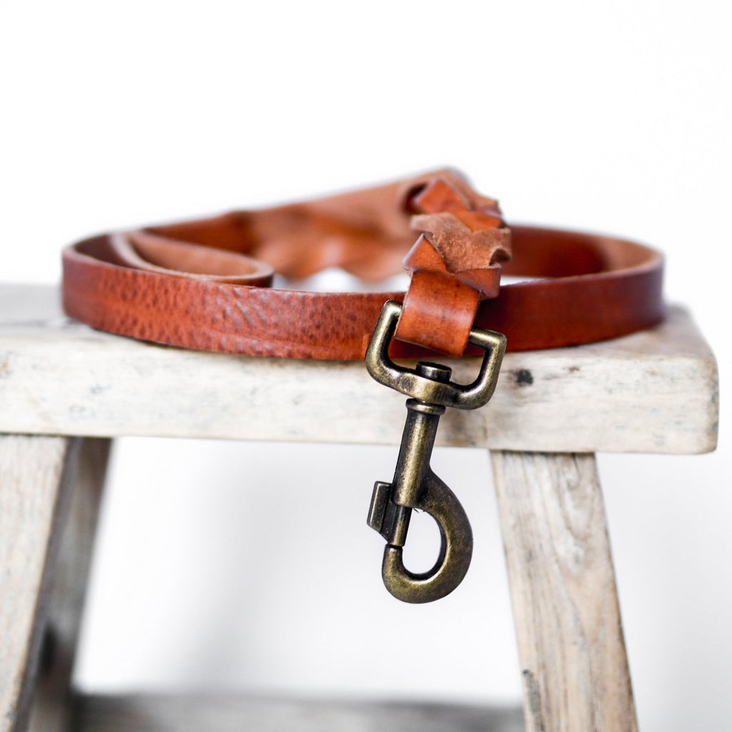Cooper & Quint Twisted Braided Dog Leash - Camel