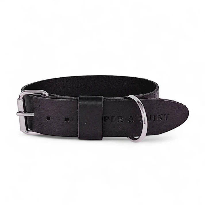 Cooper & Quint kühnes Lederhalsband für Hunde – Schwarz