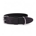 Cooper & Quint kühnes Lederhalsband für Hunde – Schwarz