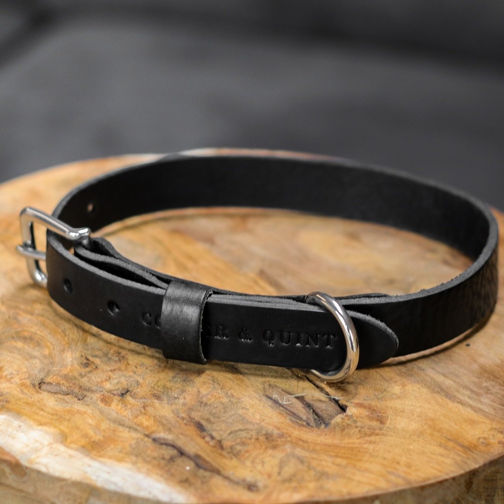 Cooper & Quint "No Fuss" Lern-Hundehalsband – Schwarz