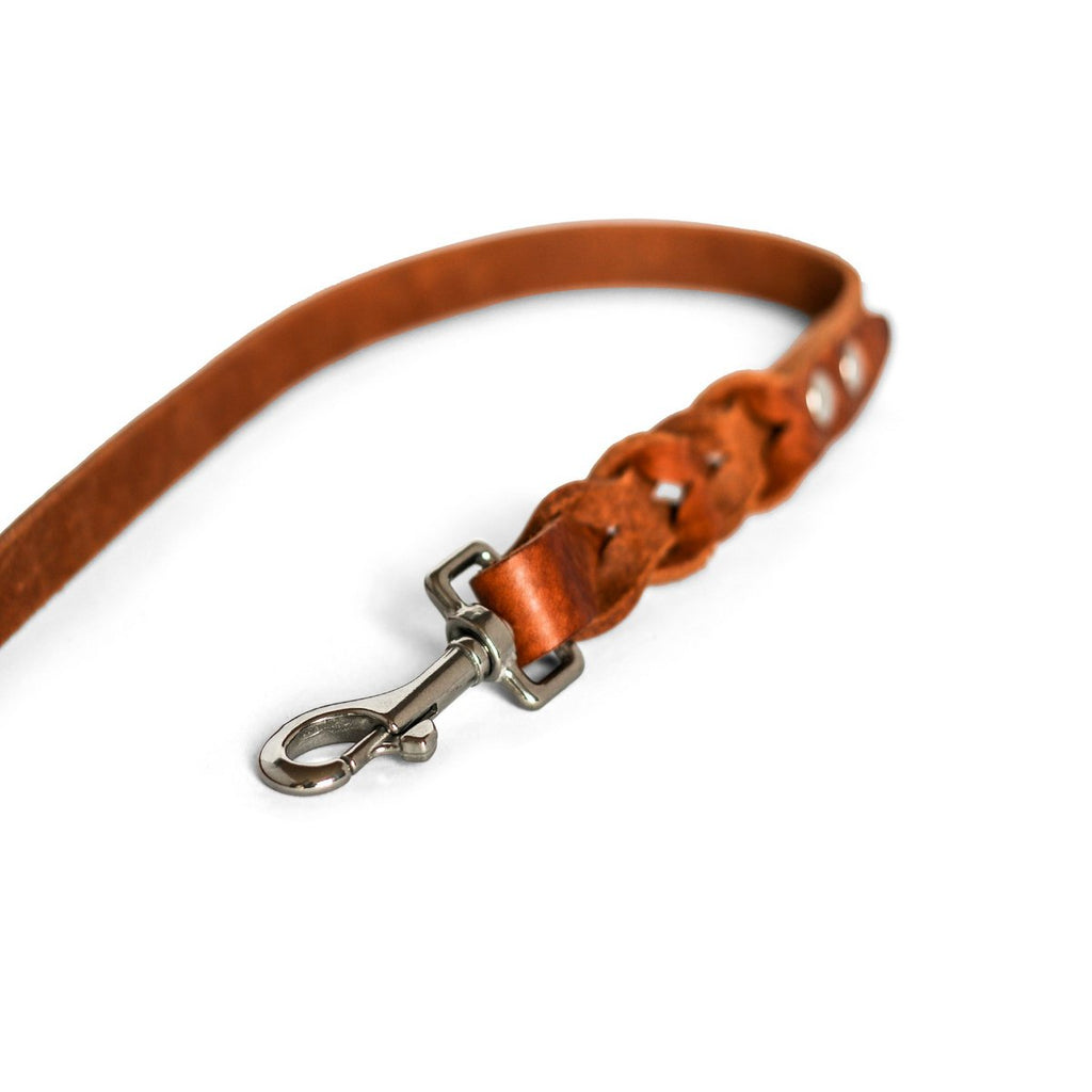 Cooper & Quint Twisted Braided Dog Leash – Brown
