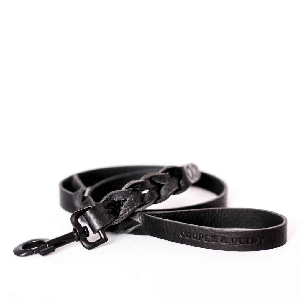 Cooper & Quint Geflochtene Hundeleine – Schwarz