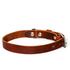 Cooper & Quint No Fuss Lederhalsband – Braun