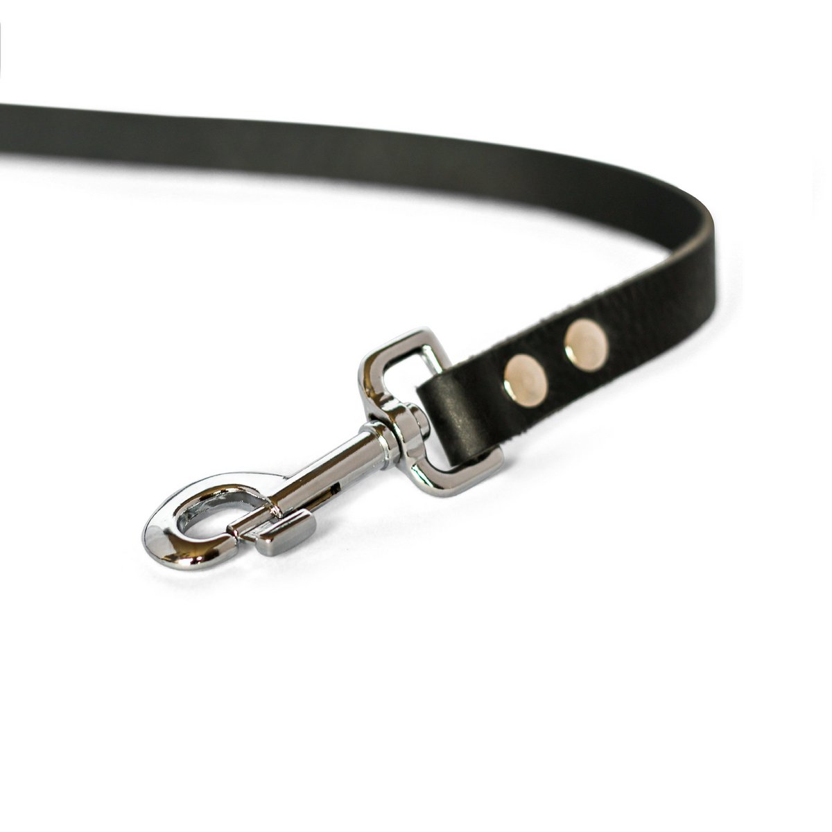 Cooper & Quint No-Pull Dog Leash - Black
