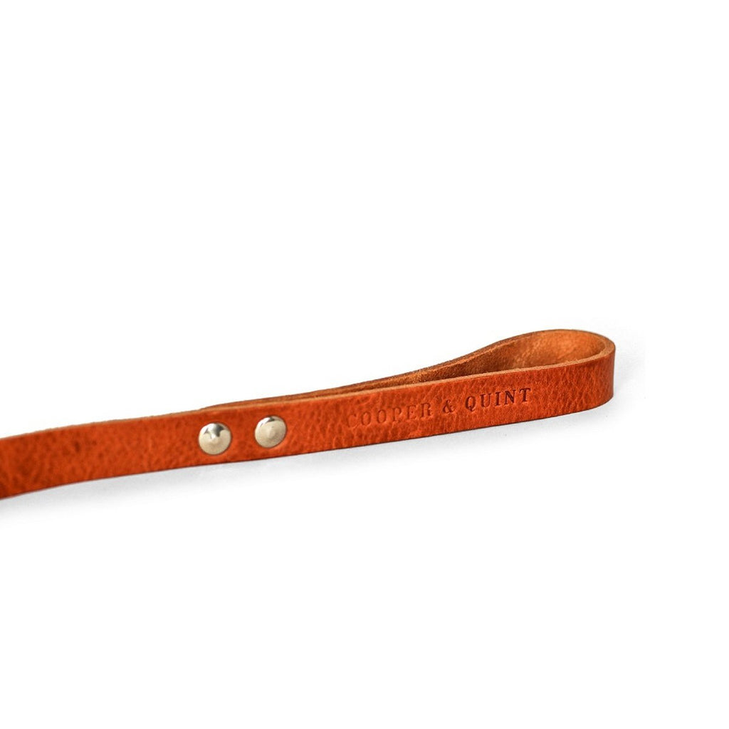 Cooper & Quint No Fuss Leren Hondenriem – Camel