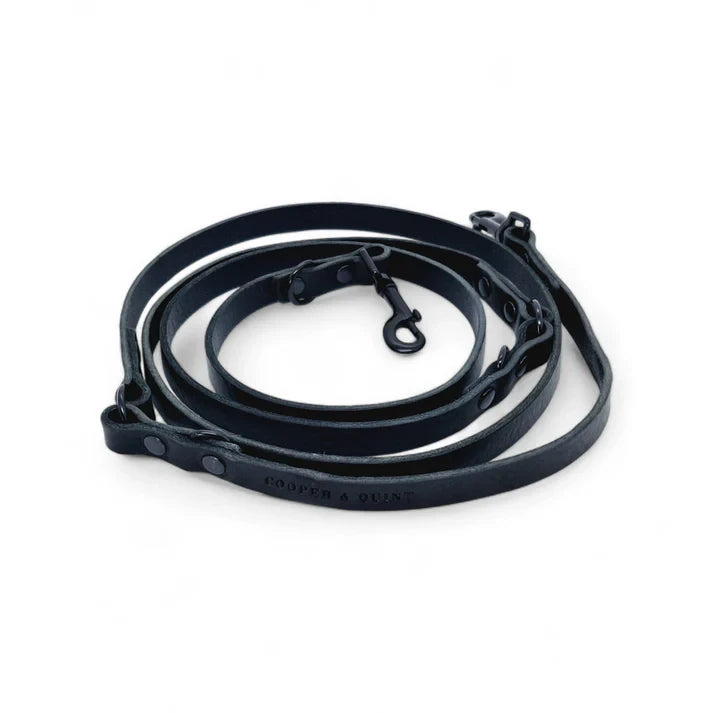 Cooper & Quint Switch Adjustable Dog Leash – Black