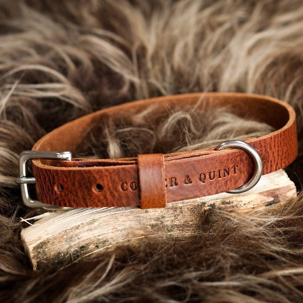 Cooper & Quint No Fuss Lederhalsband – Braun