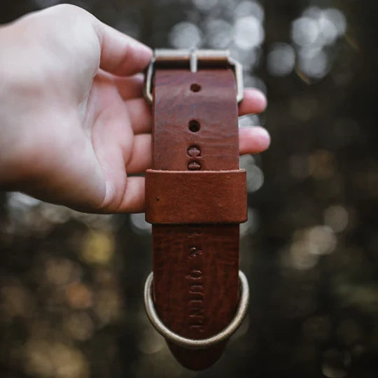 Cooper & Quint Bold Leren Hondenhalsband – Bruin