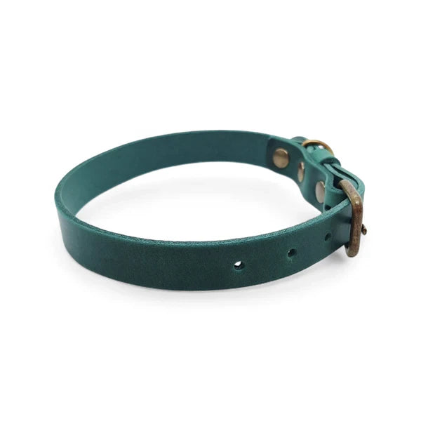 Cooper & Quint No Fuss Lern-Halsband für Hunde – Grün
