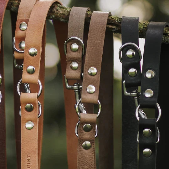 Cooper & Quint Switch Adjustable Dog Leash – Stone