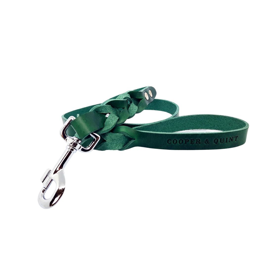 Cooper & Quint Braided Dog Leash – Green