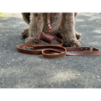 Cooper & Quint Switch Verstelbare Hondenriem – Bruin