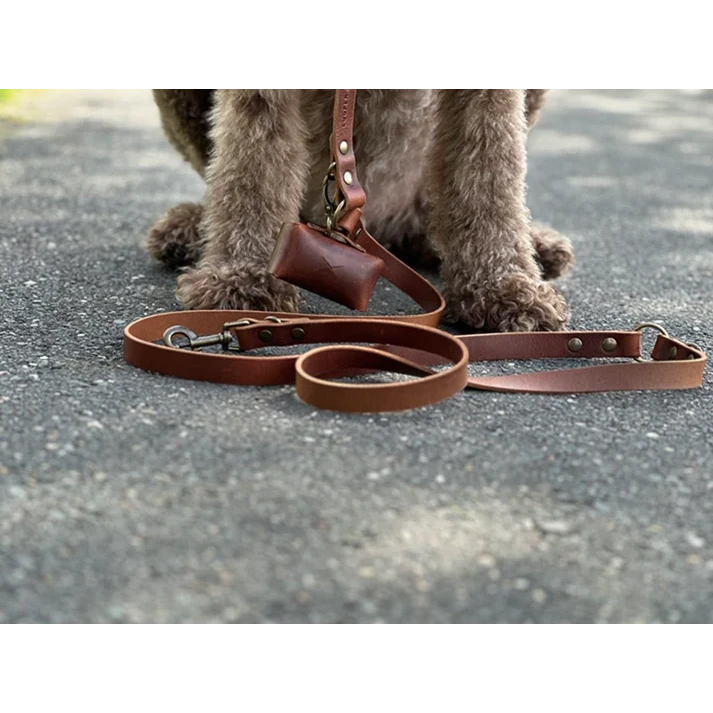 Cooper & Quint Switch Adjustable Dog Leash - Brown