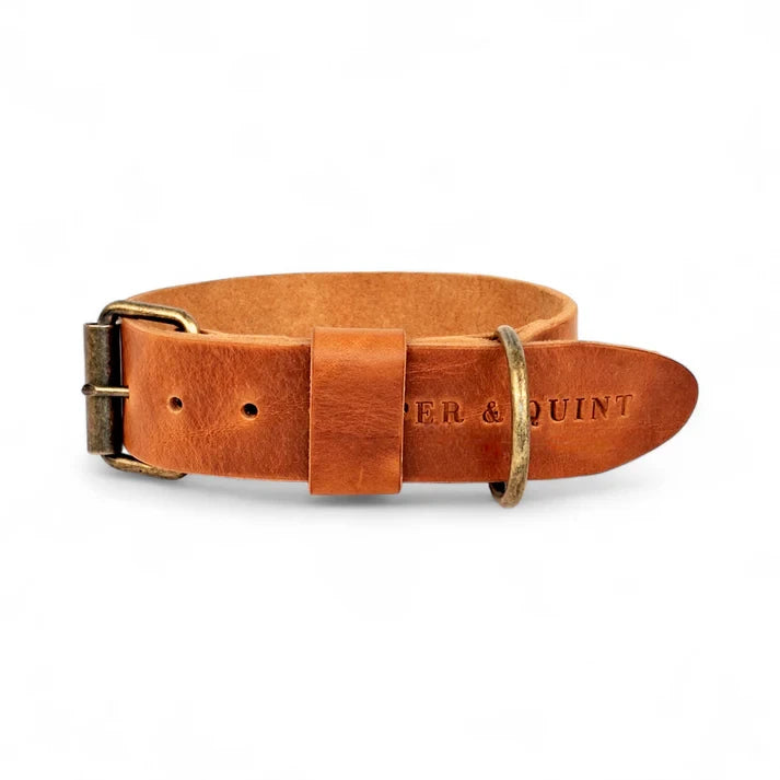 Cooper & Quint kühnes Hundehalsband aus Leder – Camel