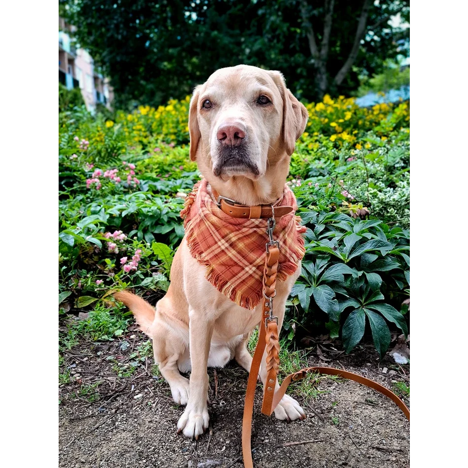 Cooper & Quint Twisted Switch Adjustable Dog Leash – Camel / Cognac