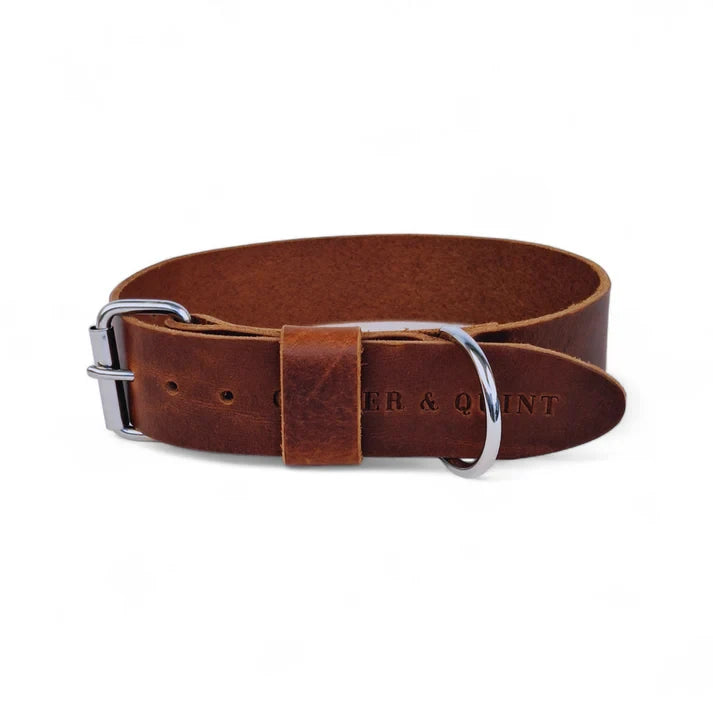 Cooper & Quint Bold Leren Hondenhalsband – Bruin
