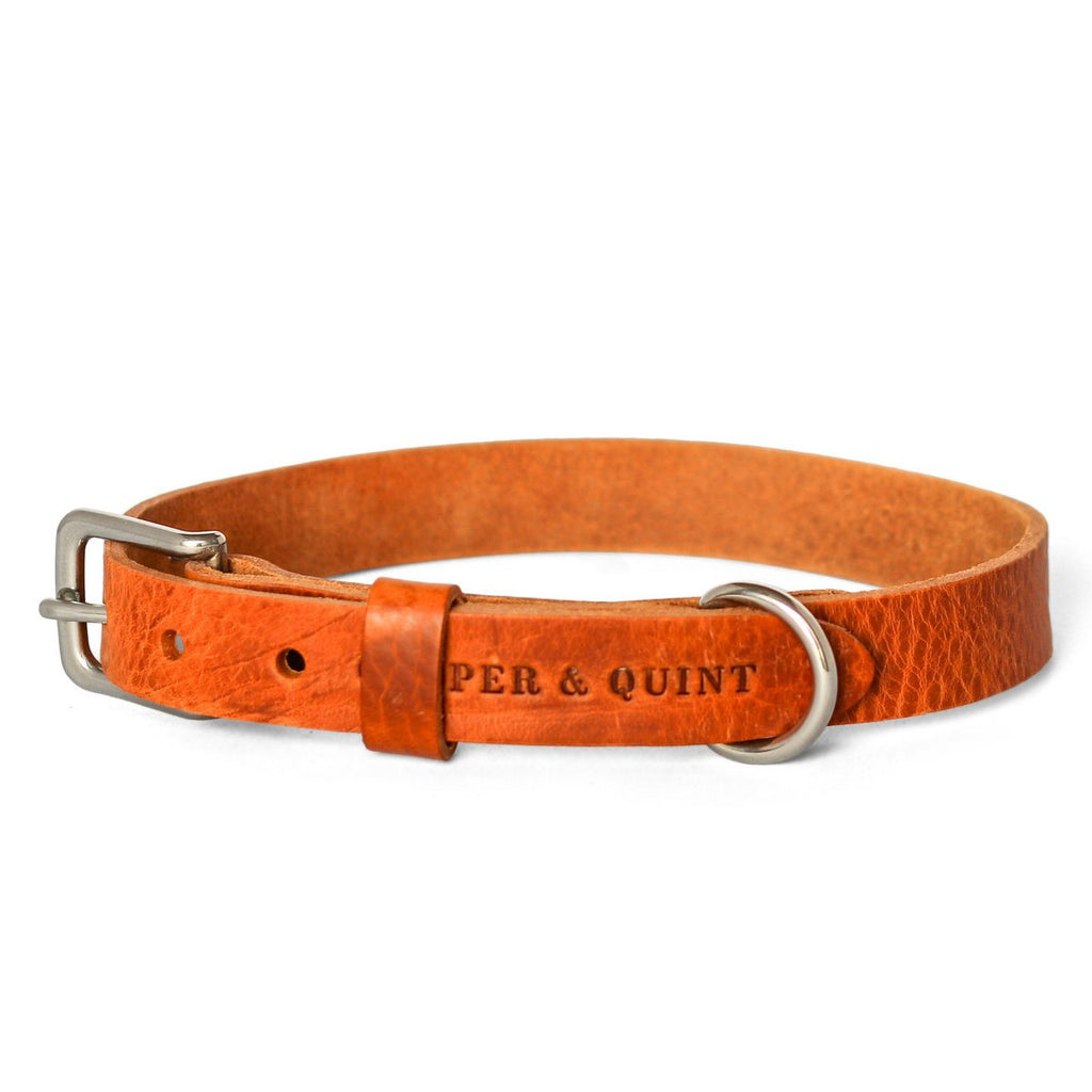 Cooper & Quint „No Fuss“ Lederhalsband für Hunde – Camel