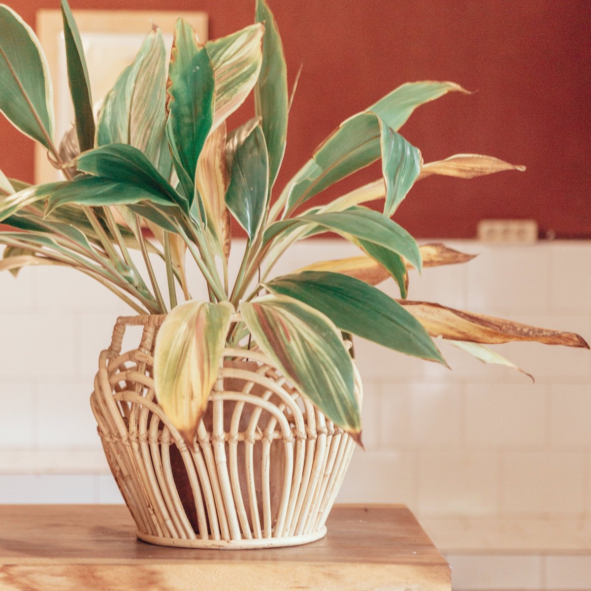 Rahina handgemaakte rotan mand in naturel beige met open gebogen vlechtpatroon
